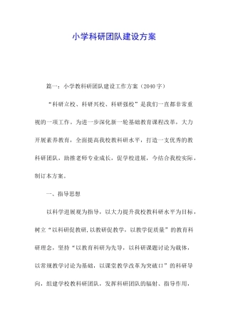 小学科研团队建设方案