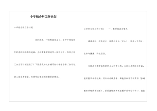 小学综合科工作计划