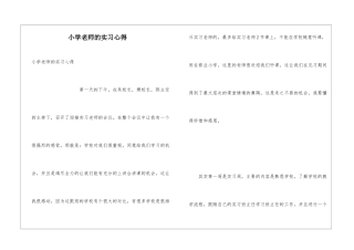 小学老师的实习心得