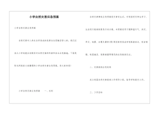 小学自然灾害应急预案