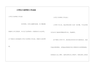 小学见习教师的工作总结