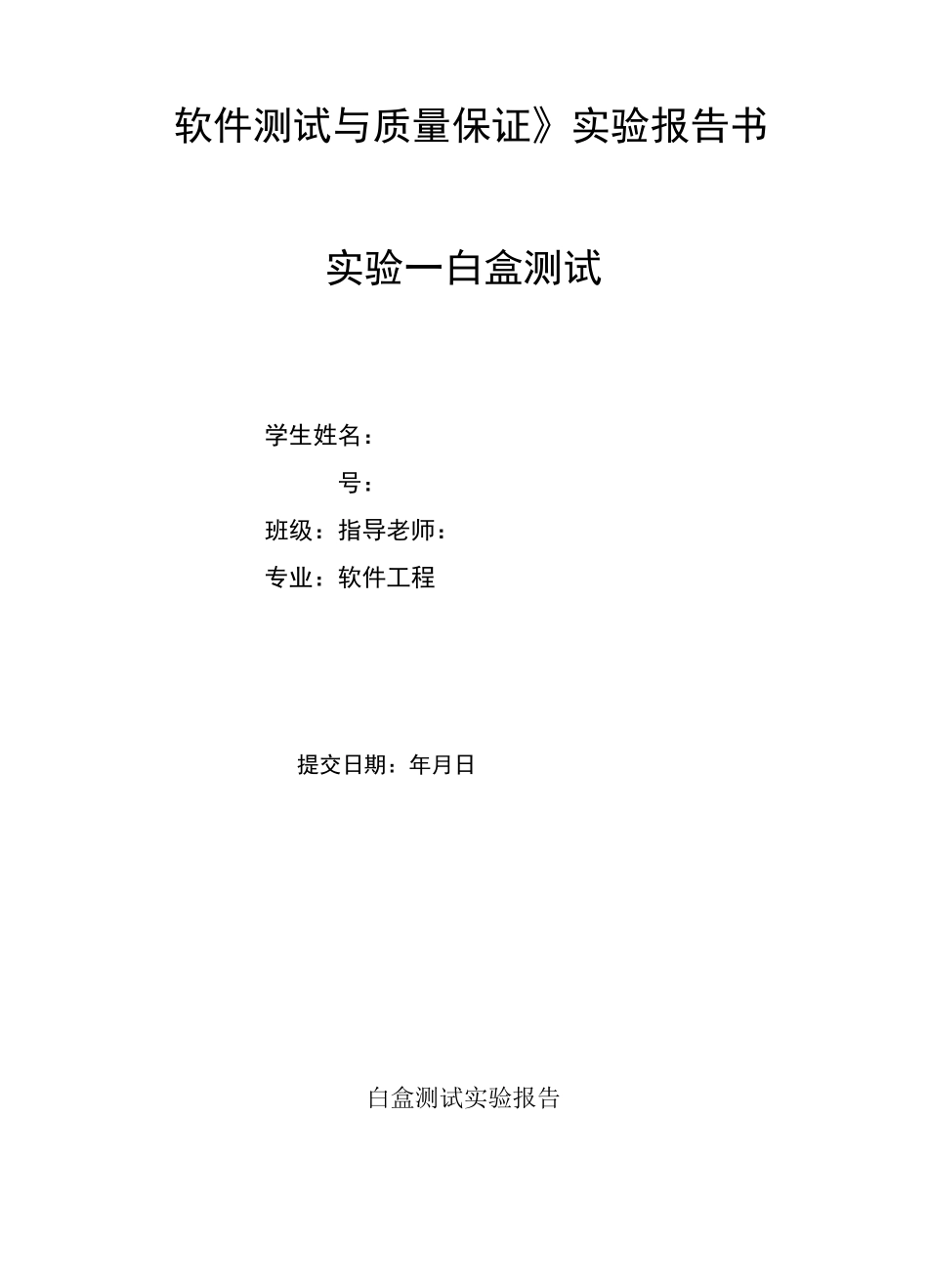 软件测试白盒测试实验_第3页