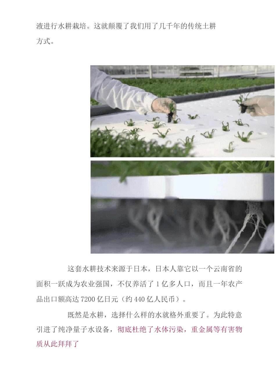 新型量子农业_第2页