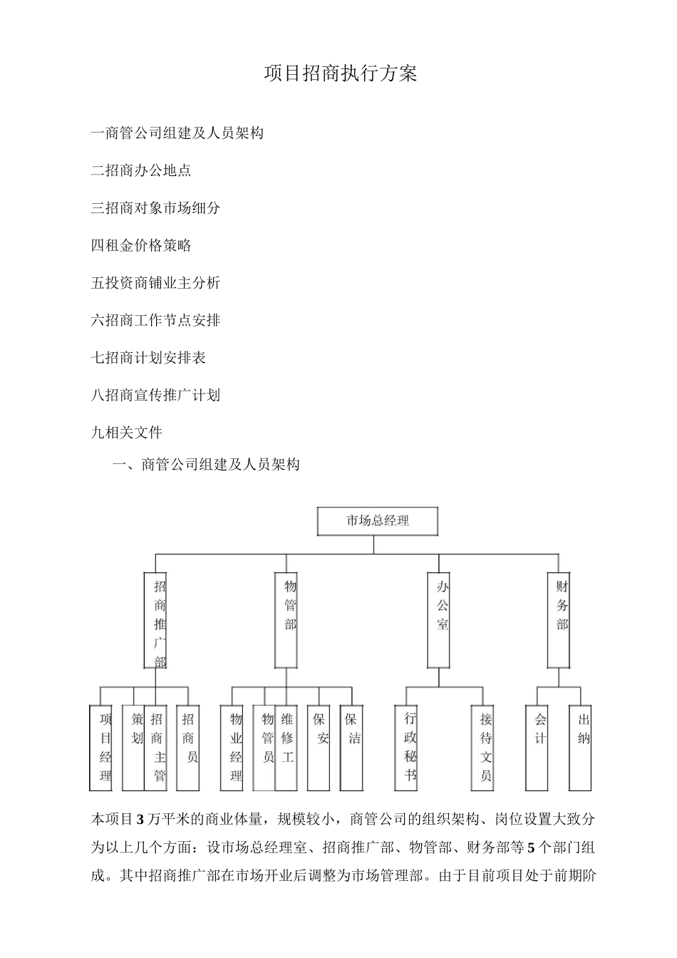 项目招商执行方案_第1页