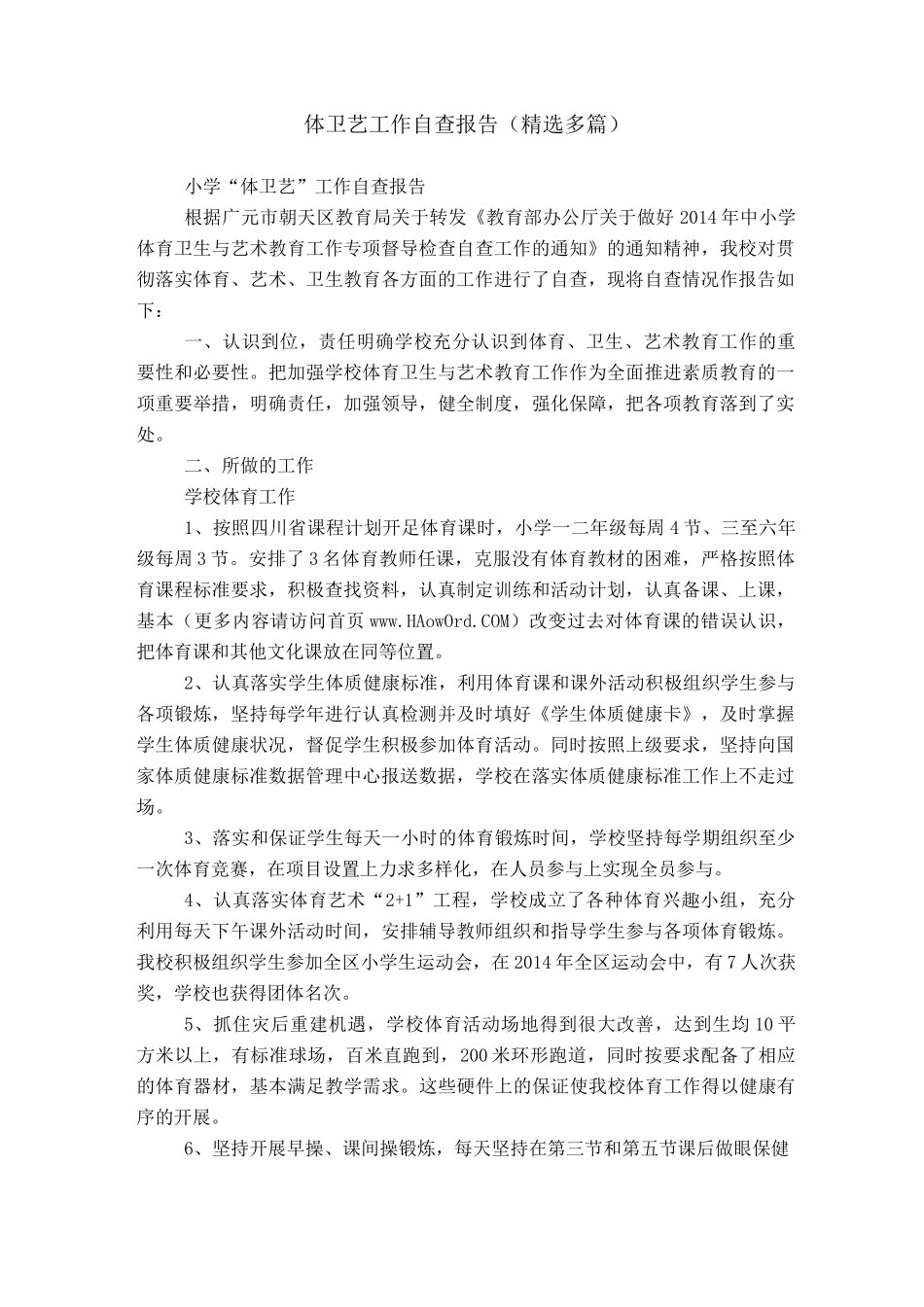 体卫艺工作自查报告_第1页