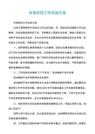 命案防控工作实施方案