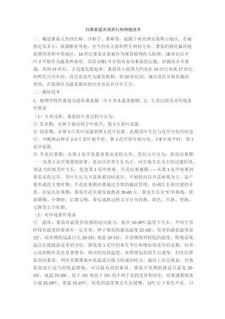 西红柿种植技术