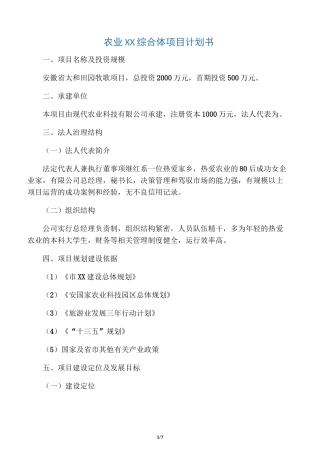 田园综合体项目计划书