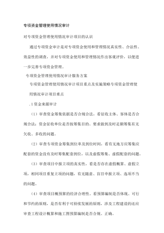 专项资金审计重点策略及工作流程