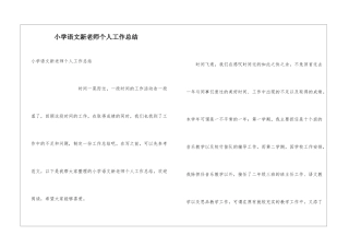小学语文新教师个人工作总结