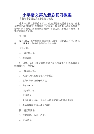 小学语文第九册总复习教案