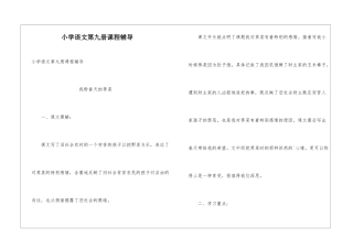 小学语文第九册课程辅导