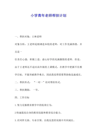小学青年教师帮扶计划