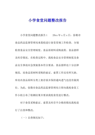 小学食堂问题整改报告