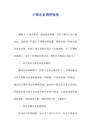 小微企业调研报告