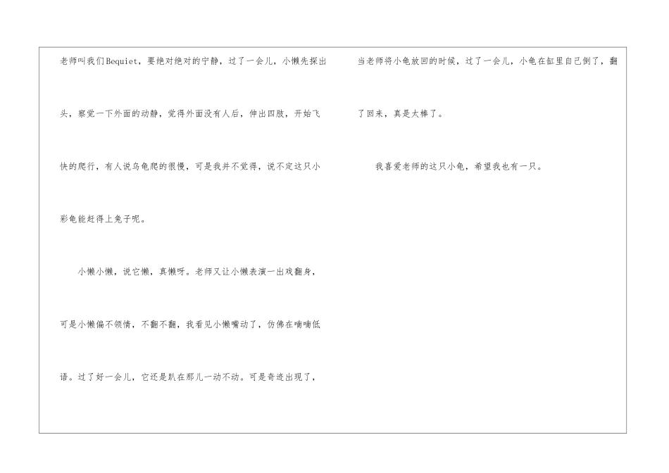 小懒龟-关于乌龟的作文550字-_第2页