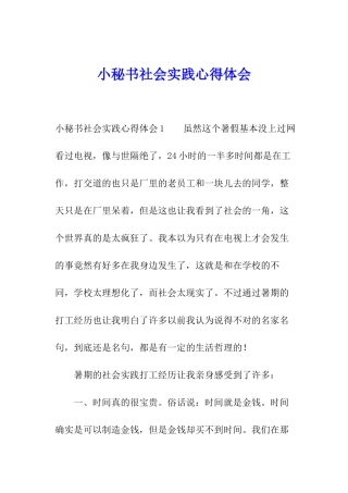 小秘书社会实践心得体会
