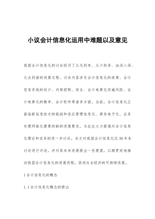 小议会计信息化运用中难题以及意见