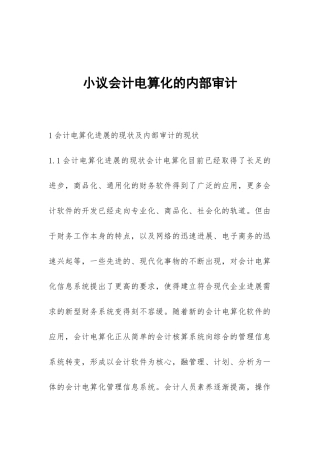 小议会计电算化的内部审计
