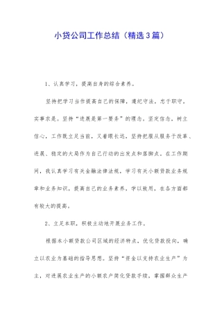 小贷公司工作总结