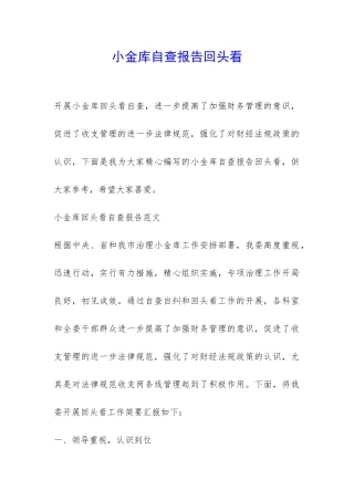 小金库自查报告回头看-