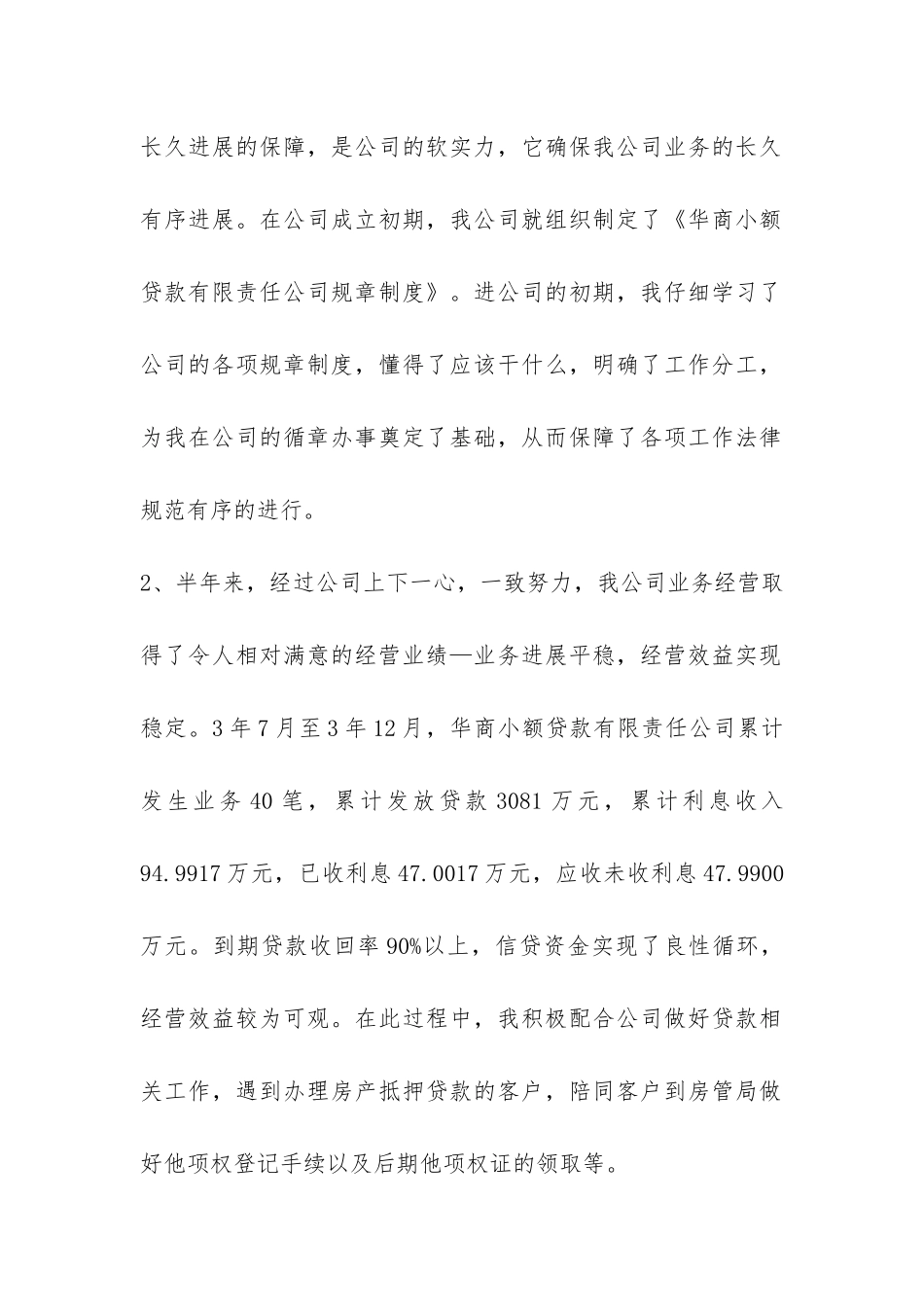 小额贷款公司个人工作总结-_第2页