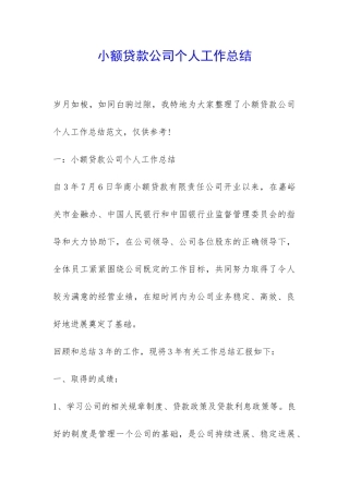 小额贷款公司个人工作总结-