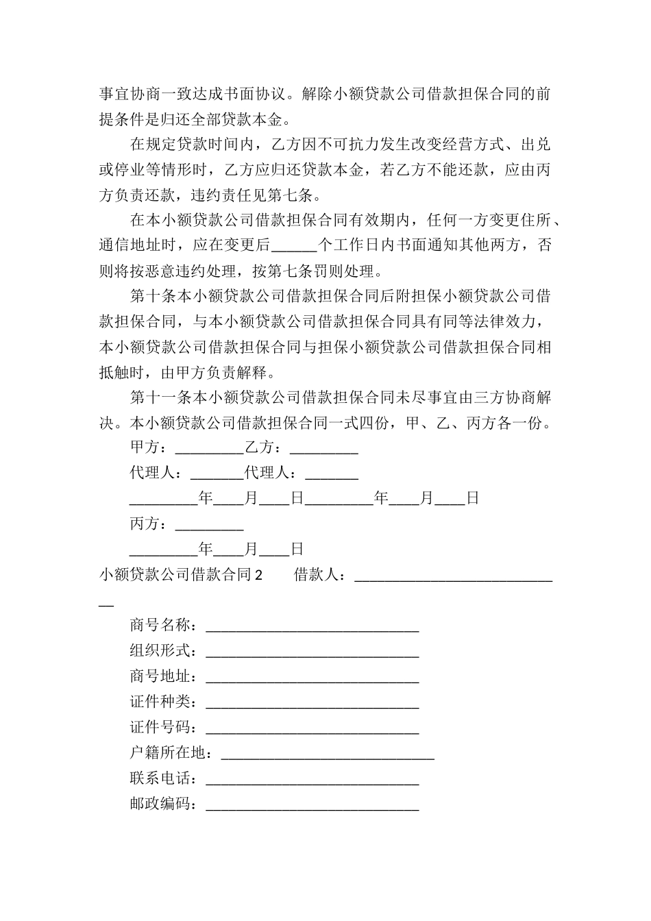 小额贷款公司借款合同9篇_第3页