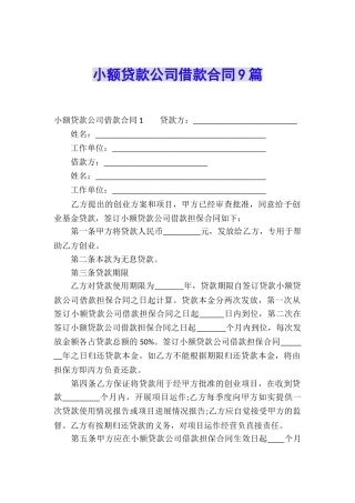 小额贷款公司借款合同9篇