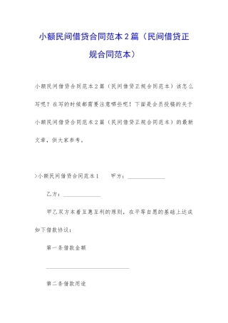 小额民间借贷合同范本2篇