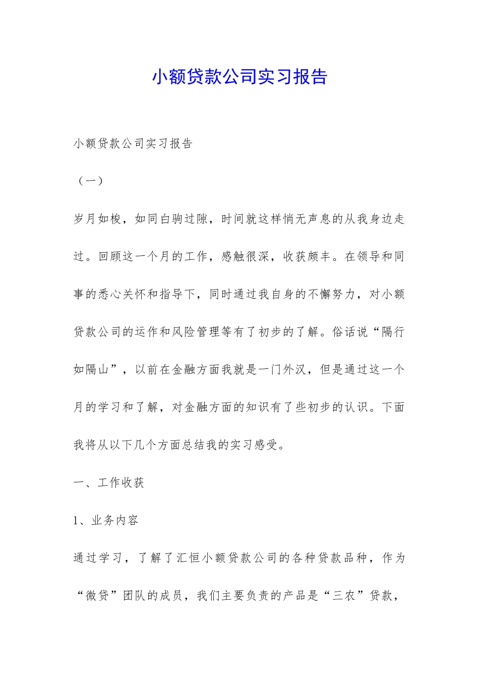 小额贷款公司实习报告-_第1页