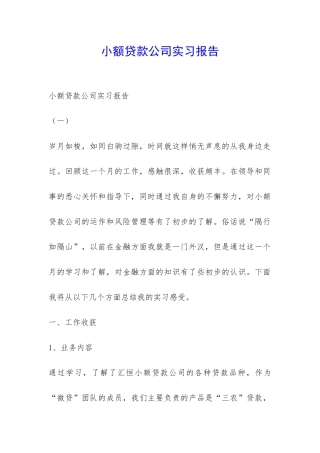 小额贷款公司实习报告-