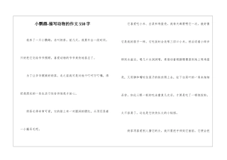 小鹦鹉-描写动物的作文550字