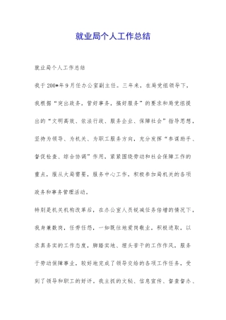 就业局个人工作总结-