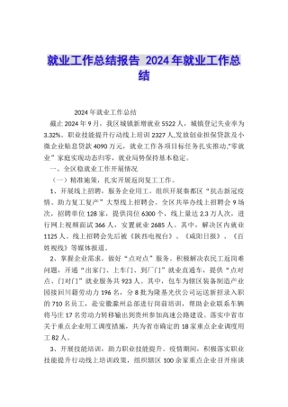 就业工作总结报告-2024年就业工作总结