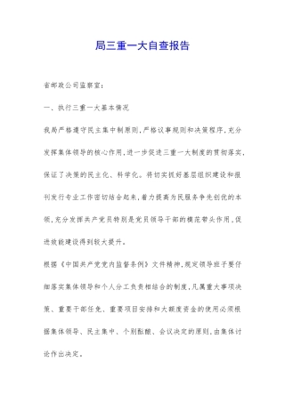 局三重一大自查报告-