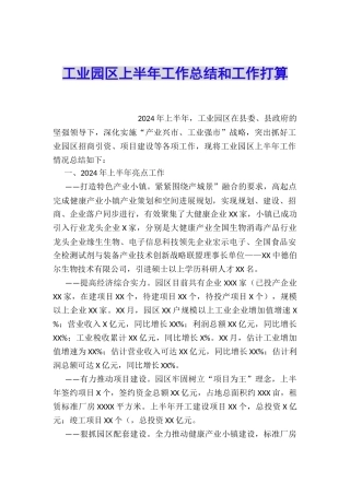 工业园区上半年工作总结和工作打算