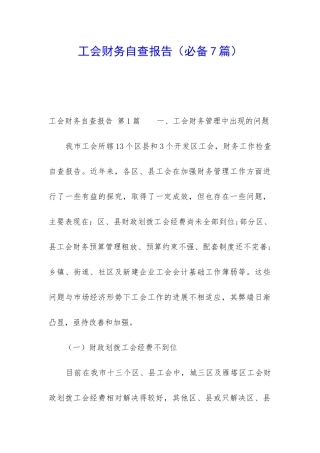 工会财务自查报告