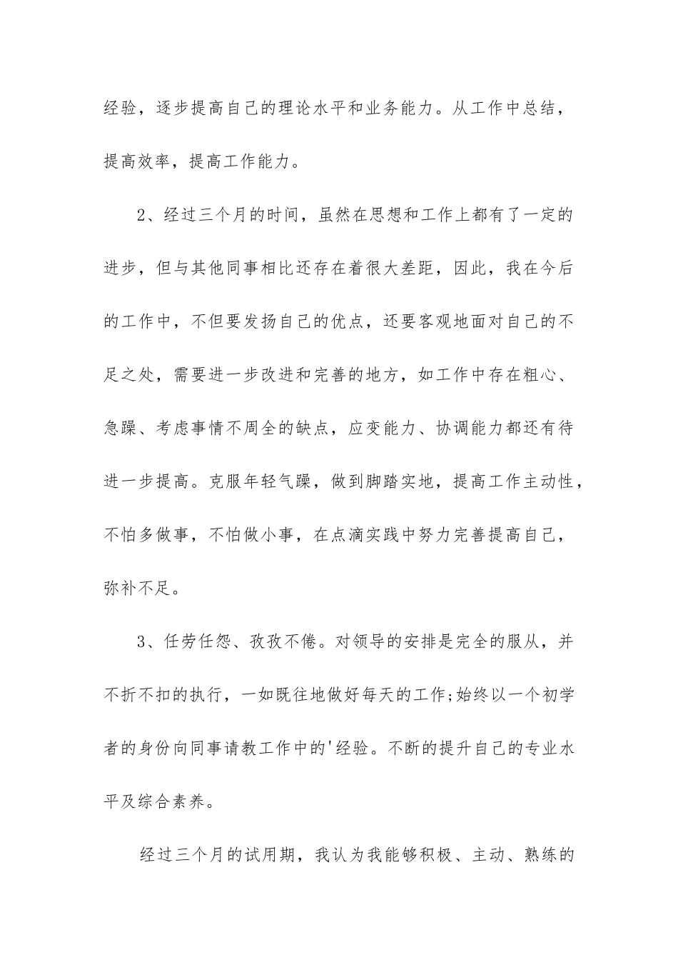 工作总结报告_第3页