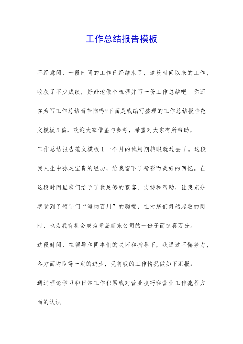 工作总结报告模板_第1页