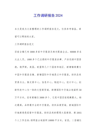 工作调研报告2024-