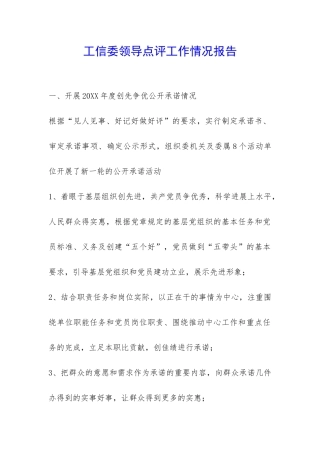 工信委领导点评工作情况报告-