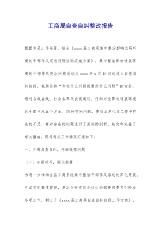 工商局自查自纠整改报告-