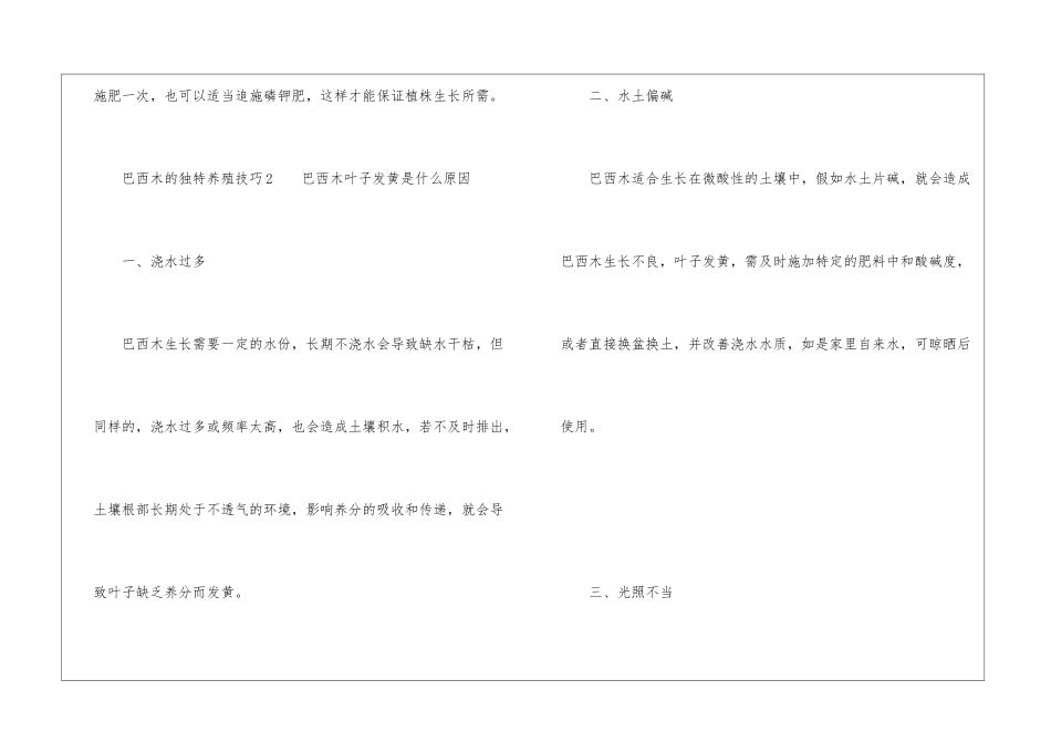 巴西木的独特养殖技巧_第3页