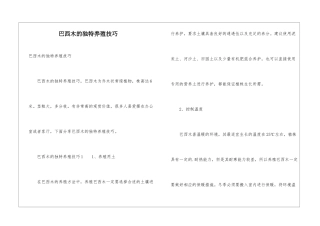 巴西木的独特养殖技巧