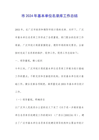 市2024年基本单位名录库工作总结-