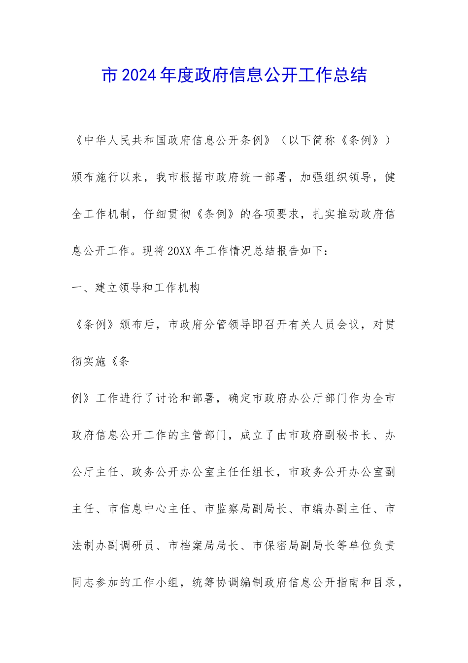 市2024年度政府信息公开工作总结-_第1页
