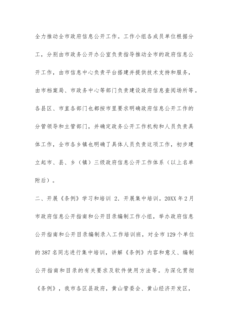 市2024年度政府信息公开工作总结-_第2页