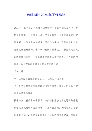 市供销社2024年工作总结-