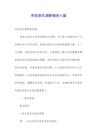 市信息化调研报告5篇